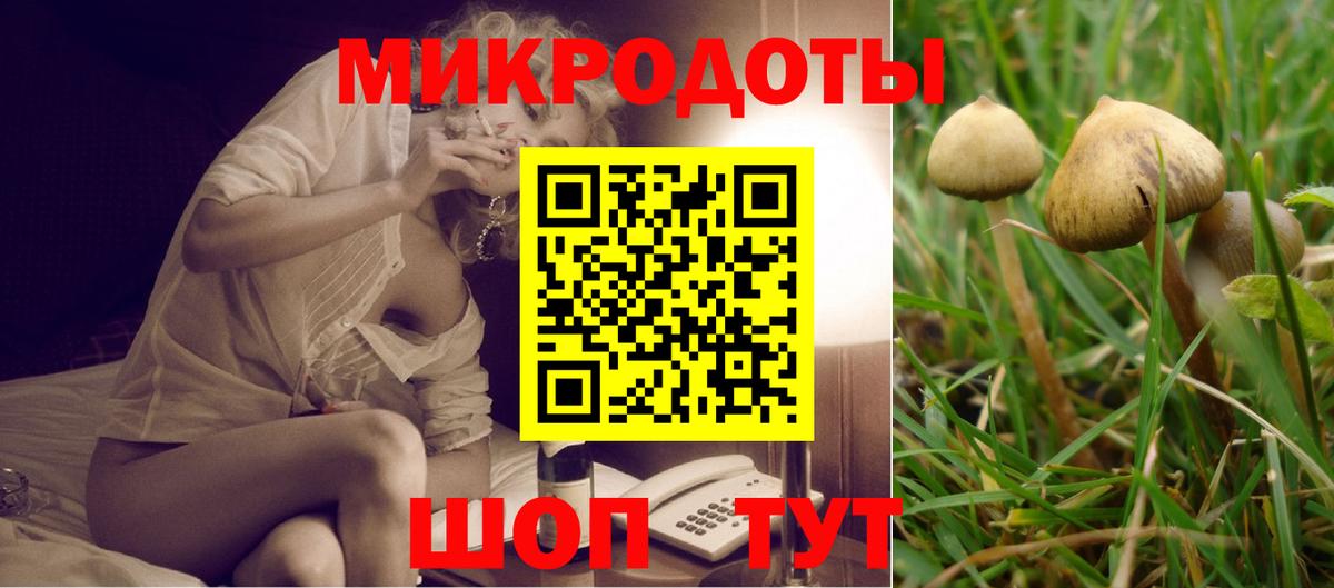 Псилоцибиновые грибы мухоморы Камышин