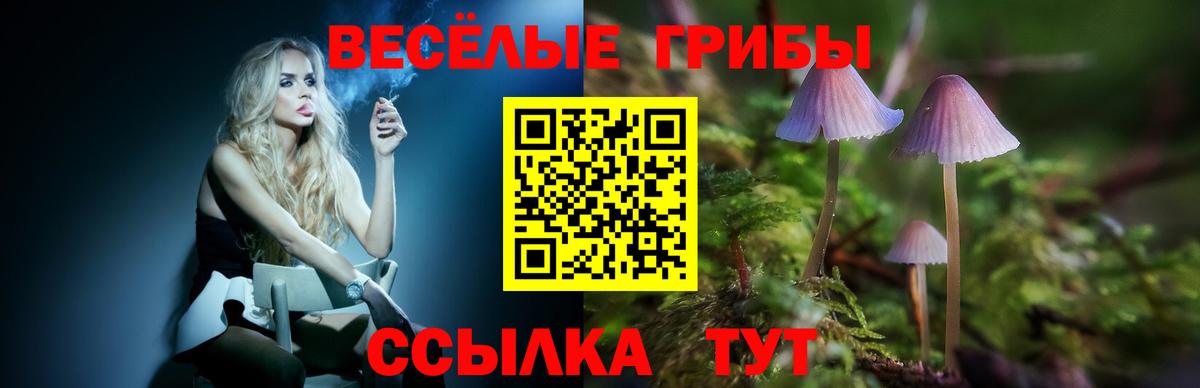 Псилоцибиновые грибы Psilocybine cubensis  Вход с VPN  Камышин  Галлюциногенные грибы мицелий 